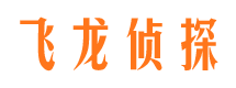 北塔飞龙私家侦探公司